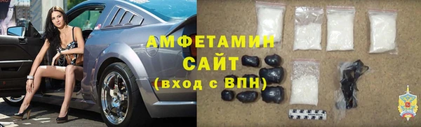 гидра Абаза