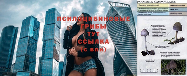 первитин Алексеевка
