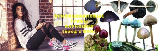 ПСИЛОЦИБИНОВЫЕ ГРИБЫ Алексин