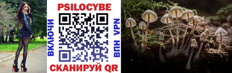 OMG маркетплейс  Плавск  Галлюциногенные грибы Psilocybine cubensis 